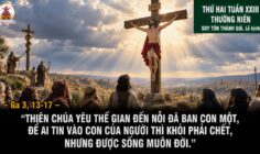 14.09.2026 – Thứ Hai Tuần XXIII Thường Niên: Lễ Suy Tôn Thánh Giá
