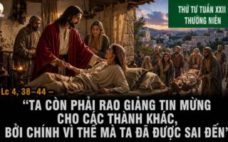 02.09.2026 – Thứ Tư Tuần XXII Thường Niên