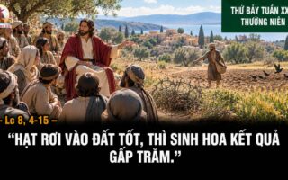 19.09.2026 – Thứ Bảy Tuần XXIV Thường Niên