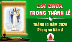 Lời Chúa trong thánh lễ hàng ngày Tháng 10 năm 2026 – Năm A
