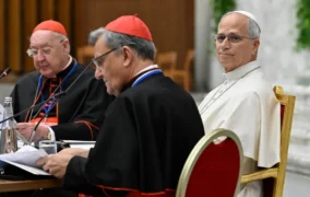 Amoris laetitia: “Chúng ta có nhiều điều cần đón nhận và học hỏi” từ các gia đình