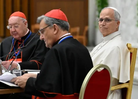 Amoris laetitia: “Chúng ta có nhiều điều cần đón nhận và học hỏi” từ các gia đình