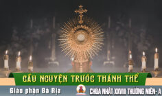 Cầu nguyện trước Thánh Thể- Ngày 11.10.2026 – Chúa Nhật XXVIII Thường niên – Mt 22,1-14