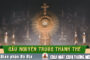 Cầu nguyện trước Thánh Thể- Ngày 11.10.2026 – Chúa Nhật XXVIII Thường niên – Mt 22,1-14