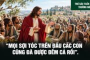 16.10.2026 – Thứ Sáu Tuần XXVIII Thường Niên
