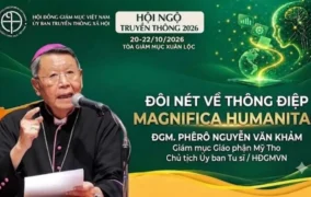 VIDEO: 