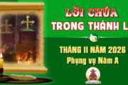Lời Chúa trong thánh lễ hàng ngày Tháng 11 năm 2026 – Năm A