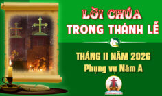 Lời Chúa trong thánh lễ hàng ngày Tháng 11 năm 2026 – Năm A
