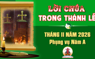 Lời Chúa trong thánh lễ hàng ngày Tháng 11 năm 2026 – Năm A